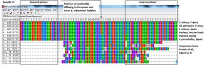 Commentary: Borrelia miyamotoi: 43 Cases Diagnosed in France by Real-Time PCR in Patients With Persistent Polymorphic Signs and Symptoms